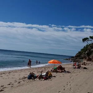 https://espectacular-apartamento-en-primera-linea-de-playa-miami-playa.catalonia-hotels.com